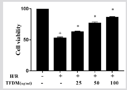 biomedres-openaccess-journal-bjstr