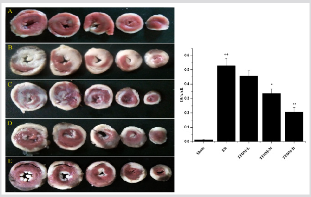 biomedres-openaccess-journal-bjstr