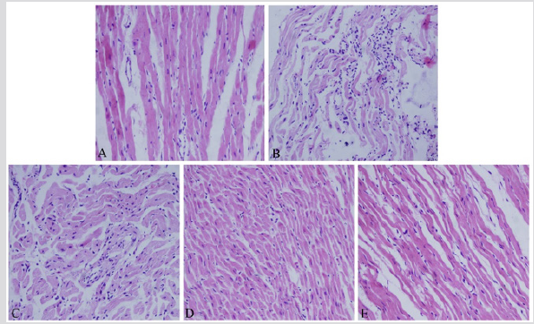 biomedres-openaccess-journal-bjstr