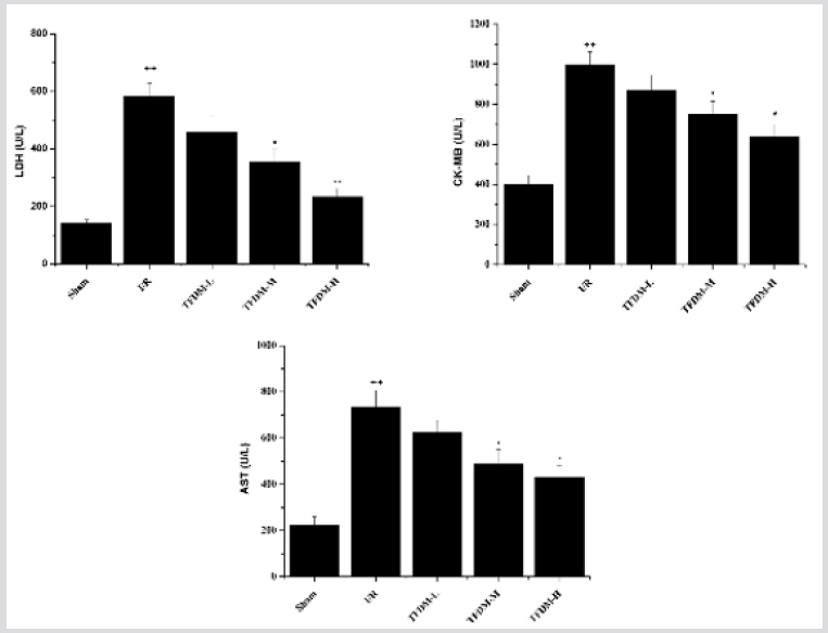 biomedres-openaccess-journal-bjstr