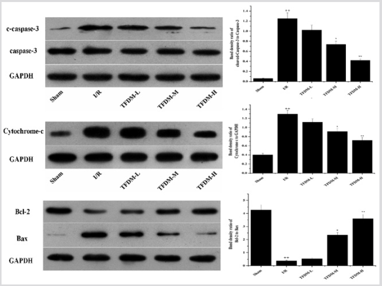 biomedres-openaccess-journal-bjstr