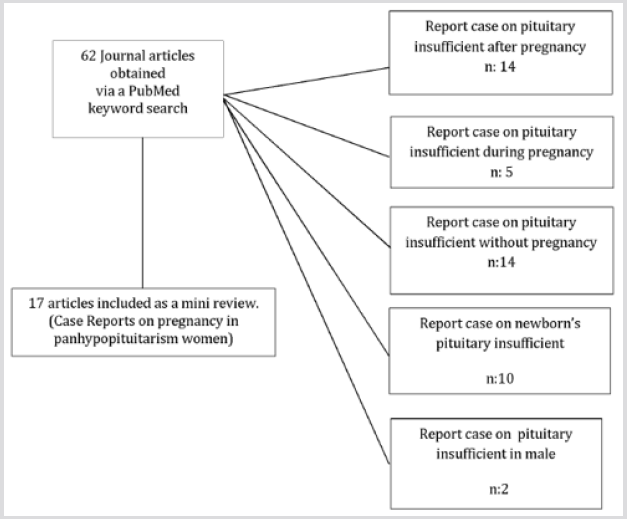 biomedres-openaccess-journal-bjstr