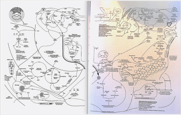 biomedres-openaccess-journal-bjstr