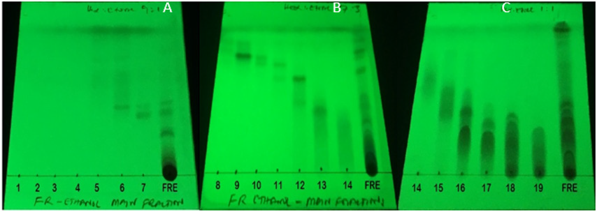 biomedres-openaccess-journal-bjstr