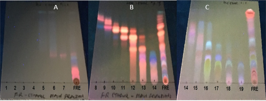 biomedres-openaccess-journal-bjstr