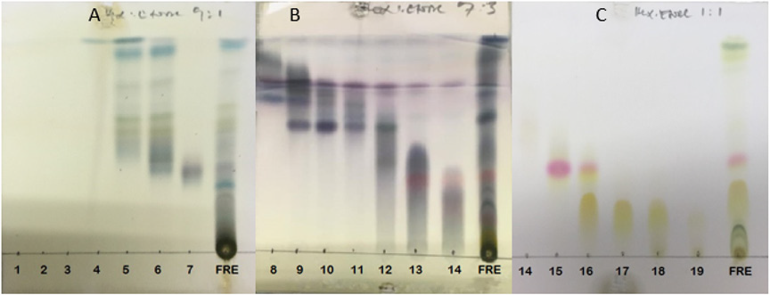 biomedres-openaccess-journal-bjstr