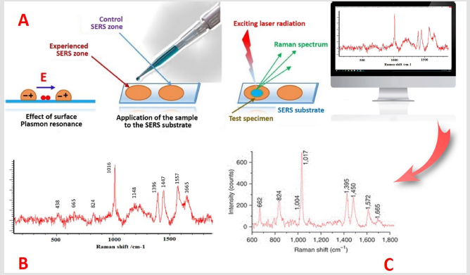 biomedres-openaccess-journal-bjstr