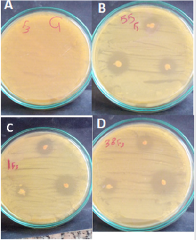 biomedres-openaccess-journal-bjstr
