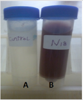 biomedres-openaccess-journal-bjstr