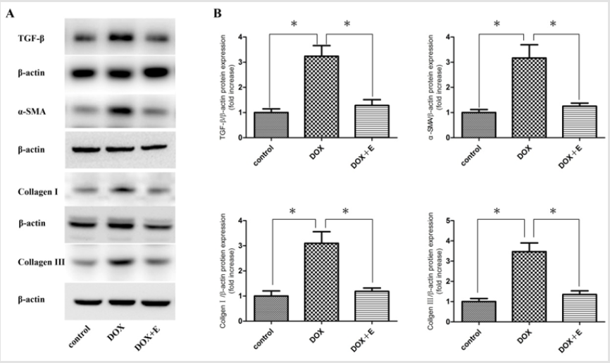 biomedres-openaccess-journal-bjstr