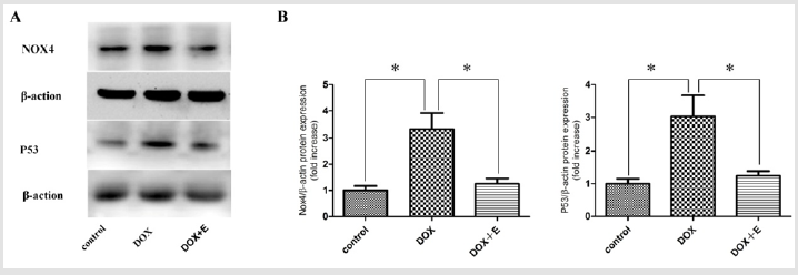 biomedres-openaccess-journal-bjstr