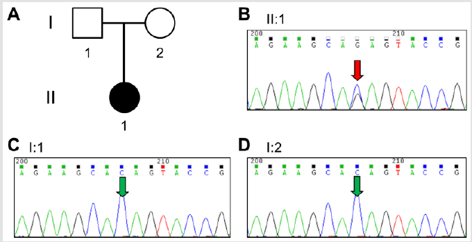 biomedres-openaccess-journal-bjstr