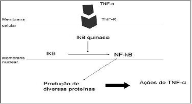 biomedres-openaccess-journal-bjstr