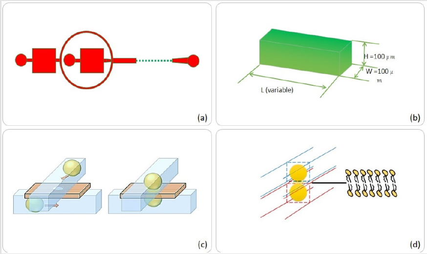 biomedres-openaccess-journal-bjstr