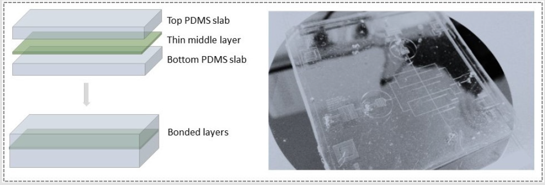biomedres-openaccess-journal-bjstr