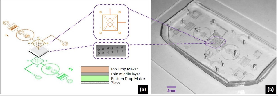 biomedres-openaccess-journal-bjstr