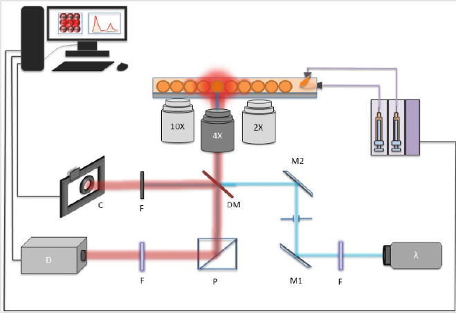 biomedres-openaccess-journal-bjstr
