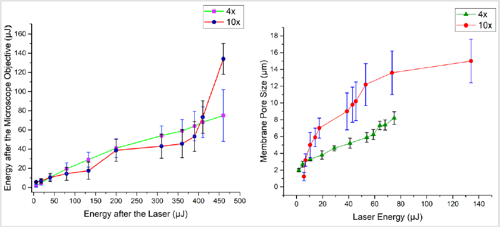 biomedres-openaccess-journal-bjstr