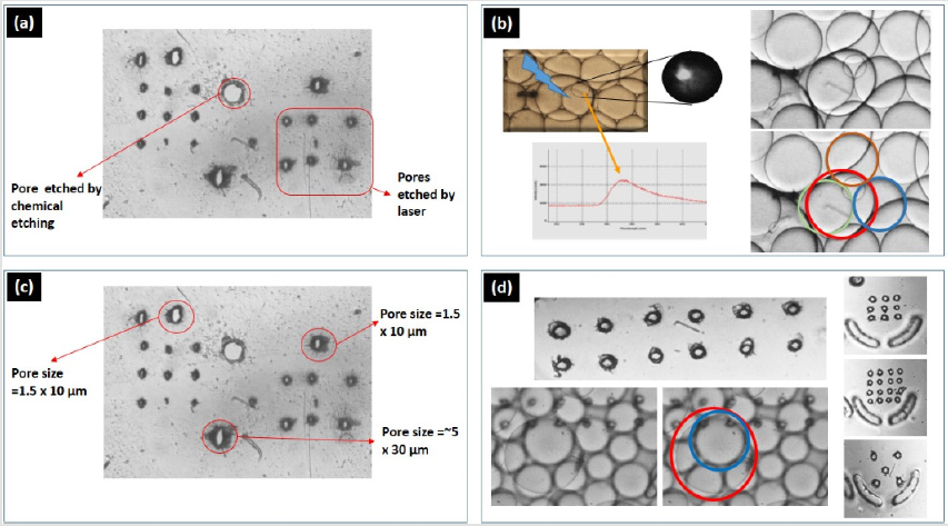 biomedres-openaccess-journal-bjstr