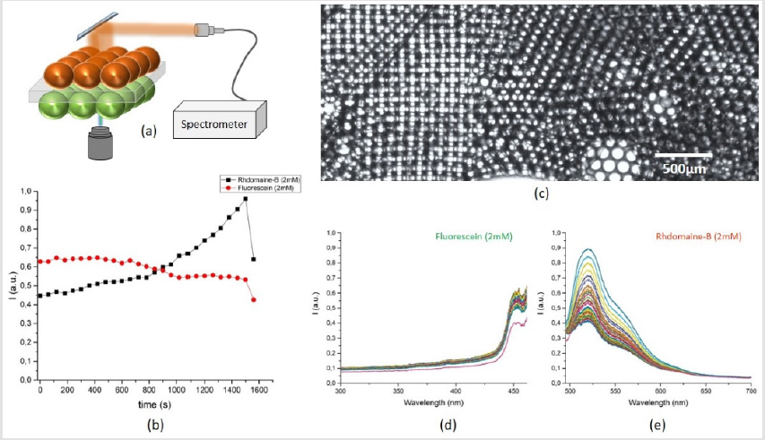 biomedres-openaccess-journal-bjstr