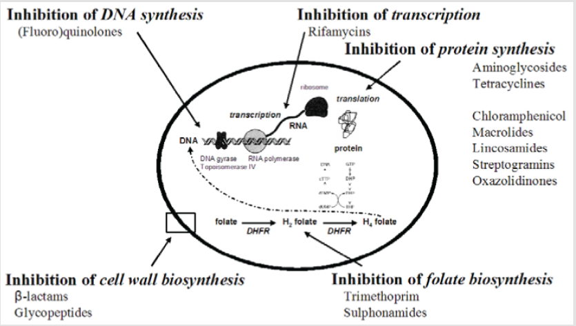 biomedres-openaccess-journal-bjstr