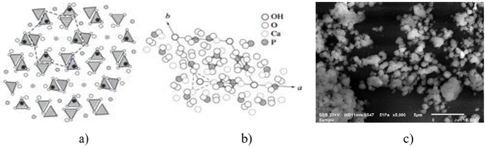 biomedres-openaccess-journal-bjstr