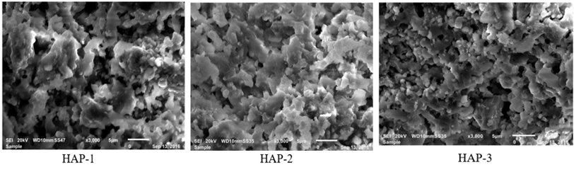 biomedres-openaccess-journal-bjstr