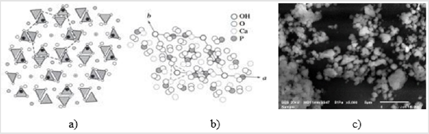 biomedres-openaccess-journal-bjstr