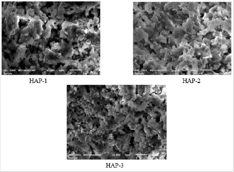 biomedres-openaccess-journal-bjstr