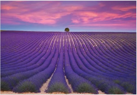 biomedres-openaccess-journal-bjstr