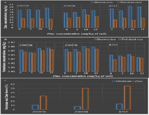 biomedres-openaccess-journal-bjstr