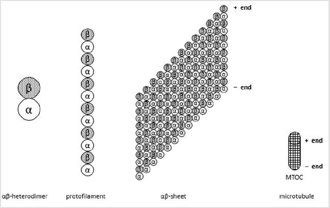 biomedres-openaccess-journal-bjstr