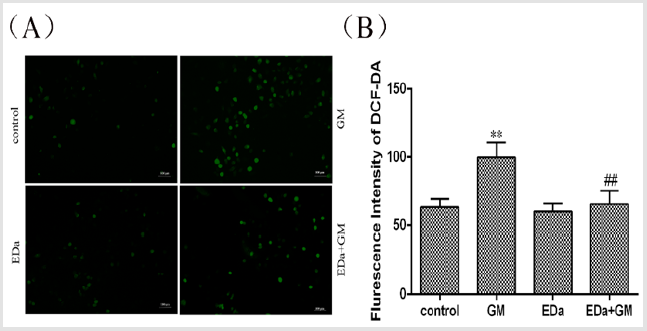 biomedres-openaccess-journal-bjstr