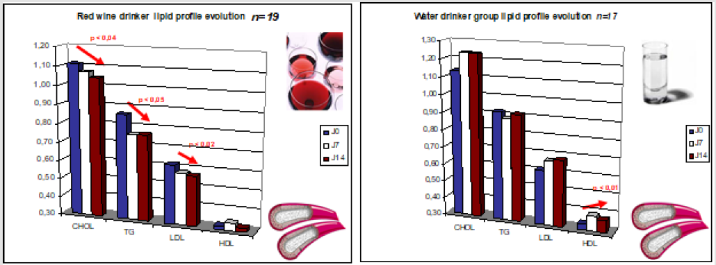 biomedres-openaccess-journal-bjstr