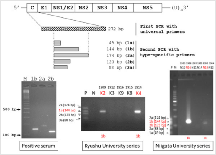 biomedres-openaccess-journal-bjstr