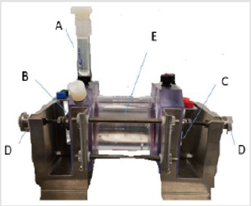 biomedres-openaccess-journal-bjstr