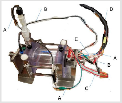 biomedres-openaccess-journal-bjstr