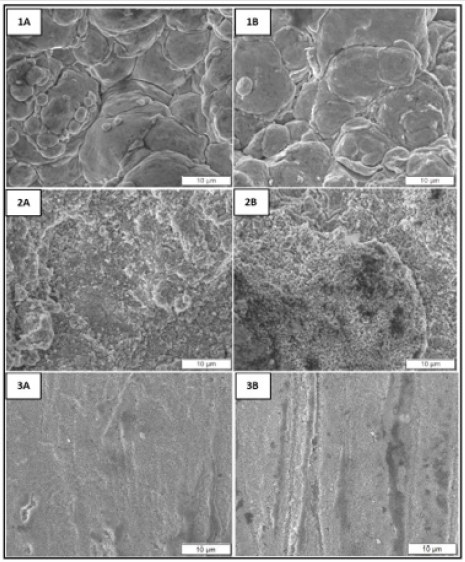 biomedres-openaccess-journal-bjstr