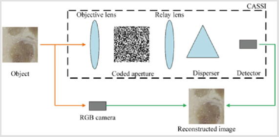 biomedres-openaccess-journal-bjstr