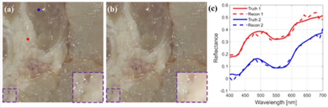biomedres-openaccess-journal-bjstr
