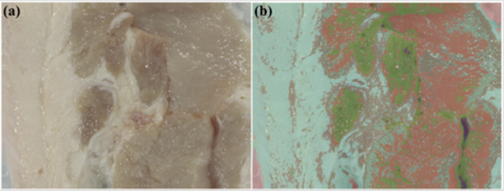 biomedres-openaccess-journal-bjstr