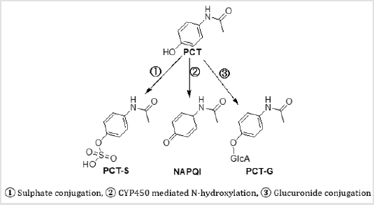 biomedres-openaccess-journal-bjstr