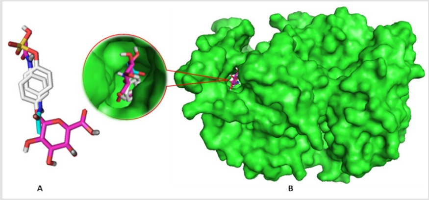 biomedres-openaccess-journal-bjstr