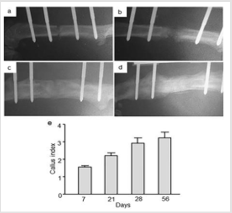 biomedres-openaccess-journal-bjstr