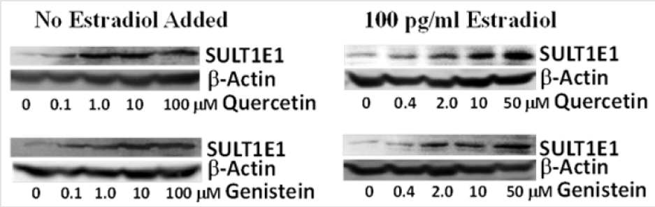 biomedres-openaccess-journal-bjstr