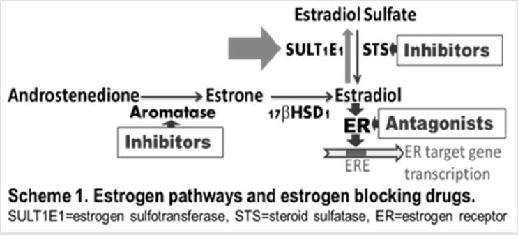 biomedres-openaccess-journal-bjstr