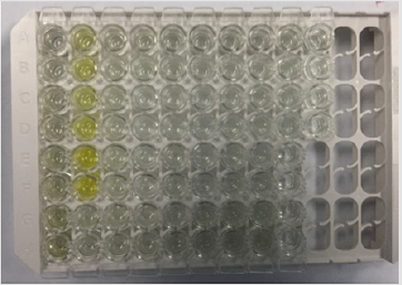 biomedres-openaccess-journal-bjstr