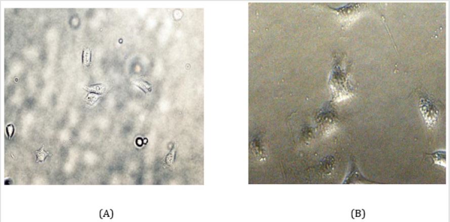 biomedres-openaccess-journal-bjstr