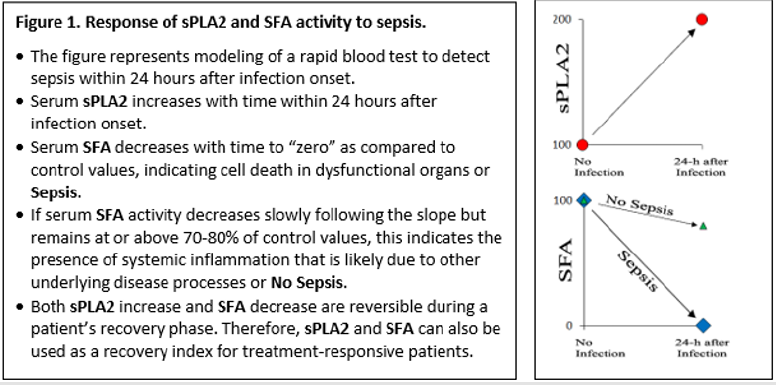 biomedres-openaccess-journal-bjstr