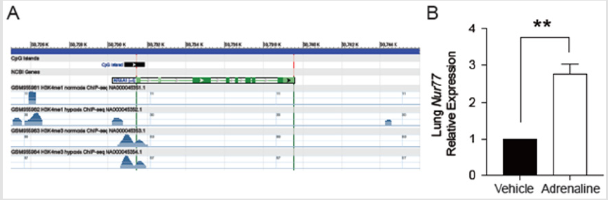 biomedres-openaccess-journal-bjstr